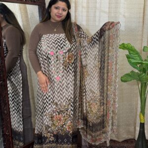 Pure Glass Fabric Partywear Suit